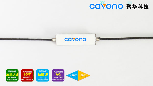 光纖光柵應(yīng)變傳感器